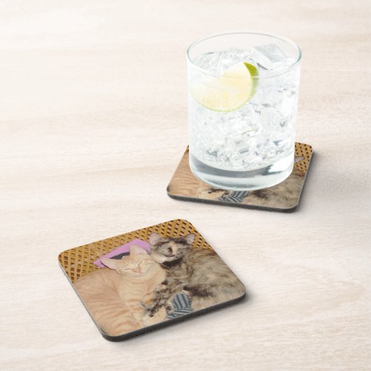 Gemiddelde katten 6 Onderzetters set (Rechterzijde)
