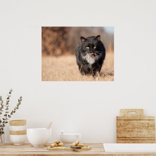 Gemiddelde kijkende sverzatie poster (Keuken)