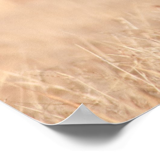 Gemiddelde kijkende sverzatie poster (Hoek)