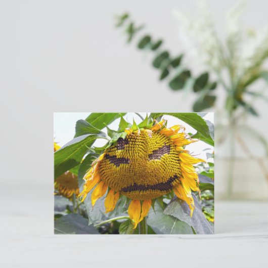 Gemiddelde zonnebloem briefkaart (Staand voorkant)