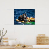 Gemini 11 Splashdown & Recovery Poster (Keuken)