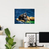 Gemini 11 Splashdown & Recovery Poster (Thuiskantoor)