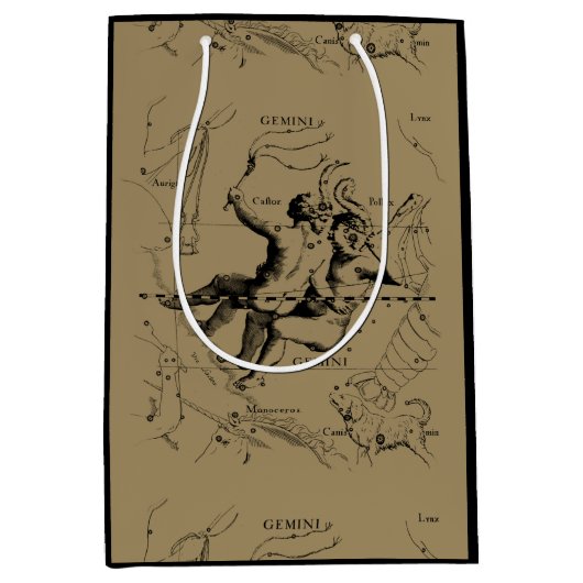 Gemini Constellation Hevelius 1690 mei12-juni20 Medium Cadeauzakje (Voorkant)