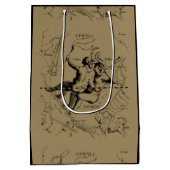 Gemini Constellation Hevelius 1690 mei12-juni20 Medium Cadeauzakje (Achterkant)