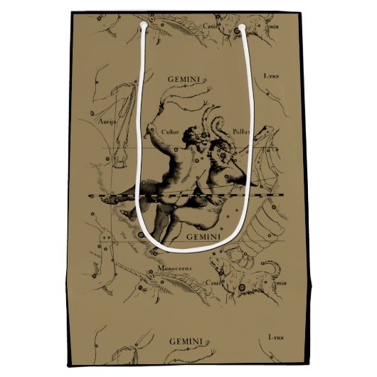 Gemini Constellation Hevelius 1690 mei12-juni20 Medium Cadeauzakje (Achterkant)