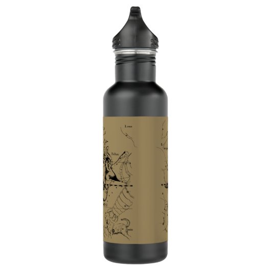 Gemini Constellation Hevelius 1690 mei12-juni20 Waterfles (Rechts)