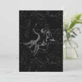 Gemini Constellation Map Engraving by Hevelius (Staand voorkant)