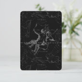 Gemini Constellation Map Engraving by Hevelius (Staand voorkant)