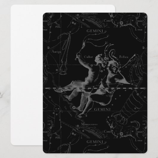 Gemini Constellation Map Engraving by Hevelius (Voorkant / Achterkant)