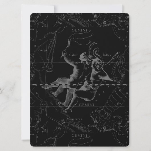 Gemini Constellation Map Engraving by Hevelius (Voorkant)