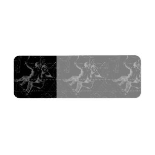 Gemini Constellation Map Engraving by Hevelius Etiket