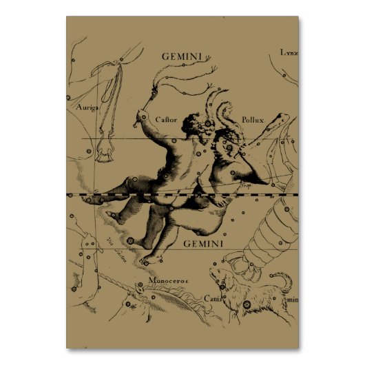 Gemini Constellation Map Hevelius circa 1690 Kaart (Voorkant)