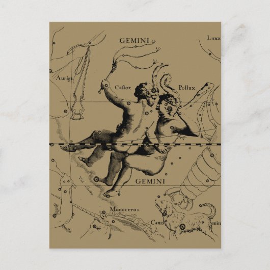 Gemini Constellation Zodiac Hevelius 1690 Briefkaart (Voorkant)