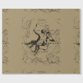 Gemini Constellation Zodiac Hevelius 1690 Cadeaupapier (Vlak)