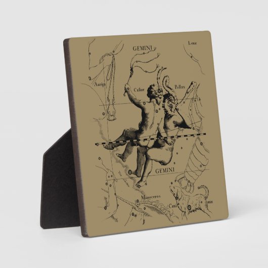 Gemini Constellation Zodiac Hevelius 1690 Fotoplaat (Voorkant)