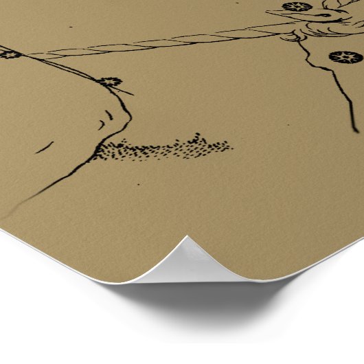 Gemini Constellation Zodiac Hevelius 1690 Poster (Hoek)