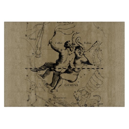 Gemini Constellation Zodiac Hevelius 1690 Snijplank (Voorkant)