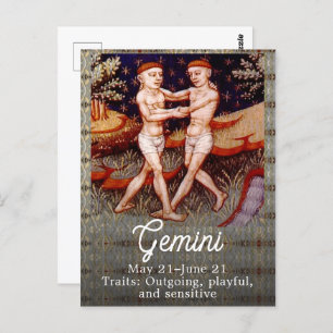 Gemini de tweeling Zodiac teken Verjaardagsfeest Briefkaart