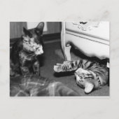 Gemini en Whisper Briefkaart (Voorkant)