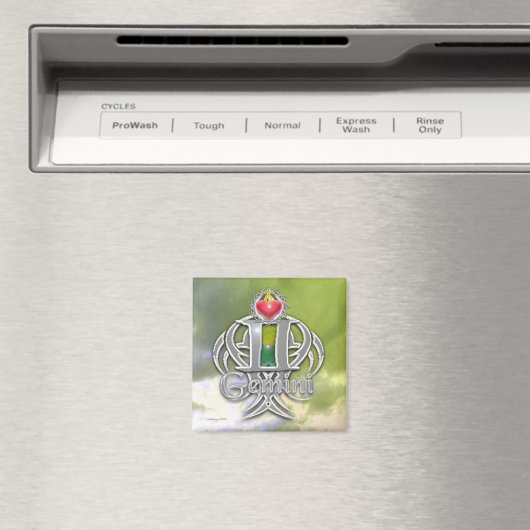 gemini magneet (Insitu (Vaatwasser))