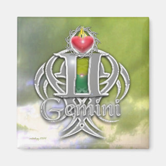 gemini magneet