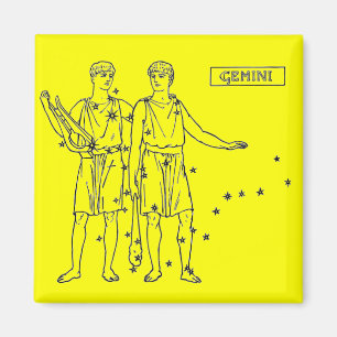 Gemini Magnet