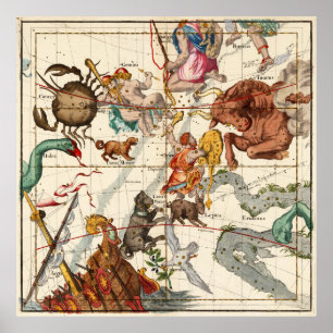 Gemini, Orion, Cancer, Taurus, Canis en andere Poster