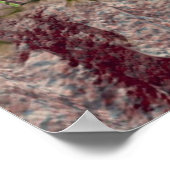 Gemini Poster (Hoek)