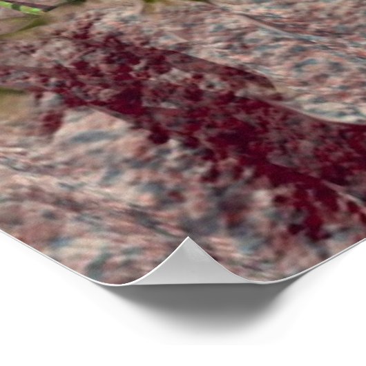 Gemini Poster (Hoek)