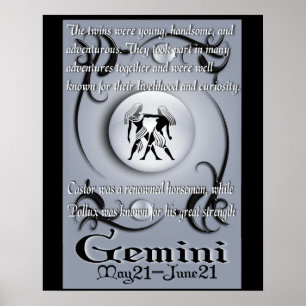 gemini-poster poster