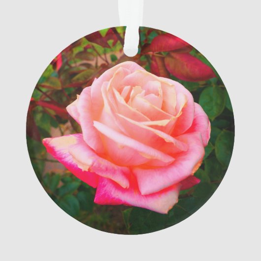 Gemini Roos #2-1 Ornament (achterkant)
