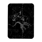 Gemini Sterrenbeeldkaartgravure door Hevelius Magneet (Verticaal)