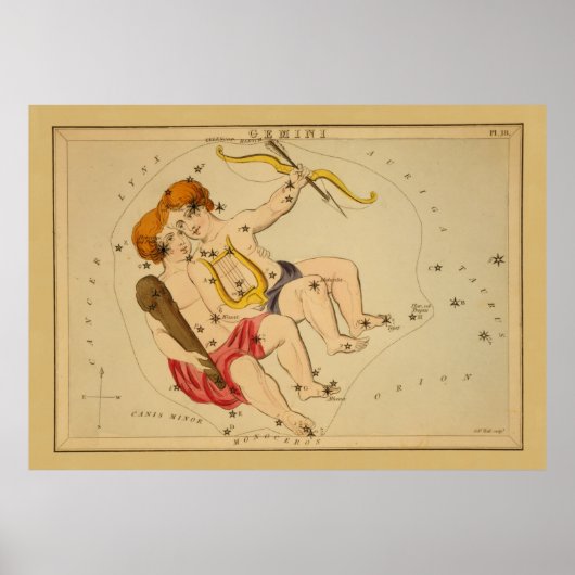 Gemini -  teken van het Afbeelding van de dierentu Poster (Voorkant)