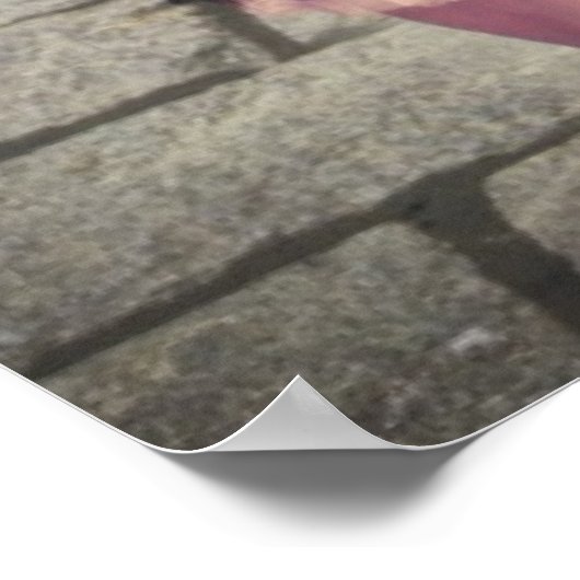  gemini voor altijd beste vrienden poster (Hoek)