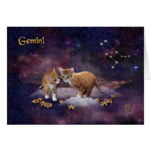 Gemini voor Cat Lovers