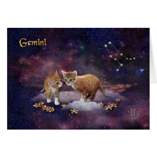 Gemini voor Cat Lovers (Voorkant Horizontaal)