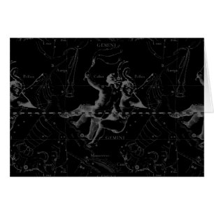 Gemini Zodiac Constellation Hevelius 1690
