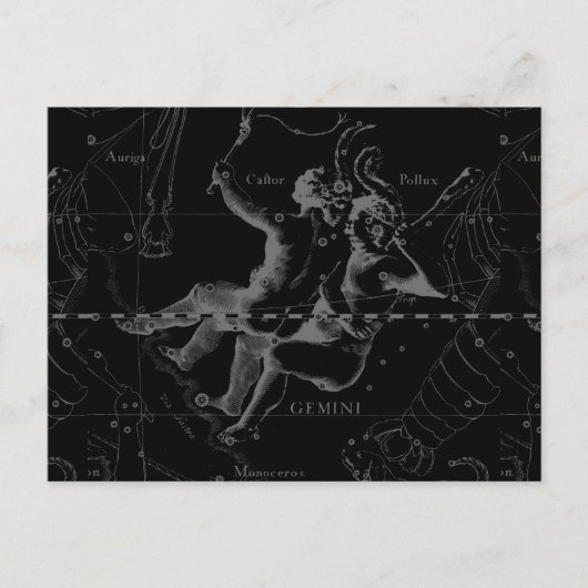 Gemini Zodiac Constellation Hevelius 1690 Briefkaart (Voorkant)