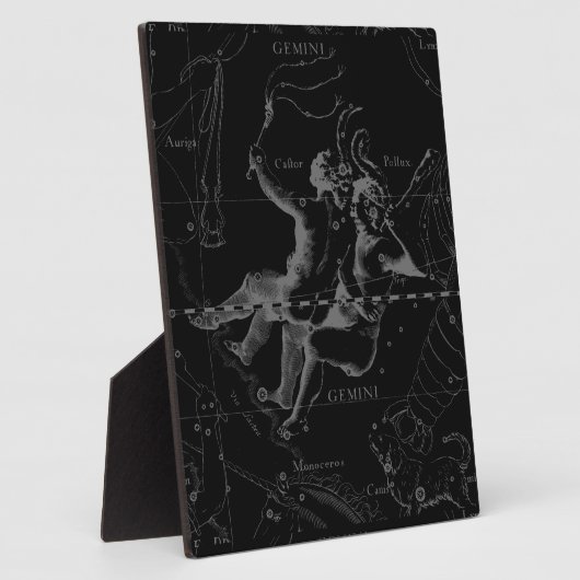 Gemini Zodiac Constellation Hevelius 1690 Fotoplaat (Zijkant)