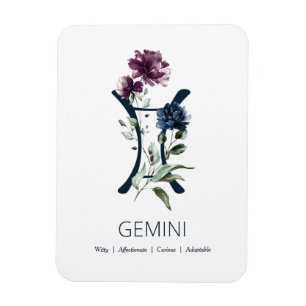 Gemini Zodiac Symbol Magneet