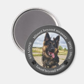 Gemiste Beyond Measure Pet Photo Memorial Magneet (Voorkant / Achterkant)