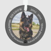 Gemiste Beyond Measure Pet Photo Memorial Ornament (achterkant)