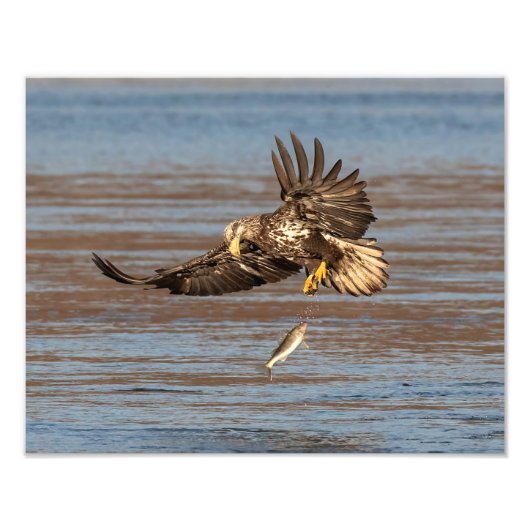 gemiste kans foto afdruk (Voorkant)