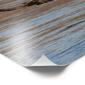 gemiste kans foto afdruk (Hoek)