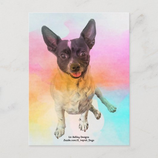 Gemma Disco Ansichtkaart Briefkaart (Voorkant)