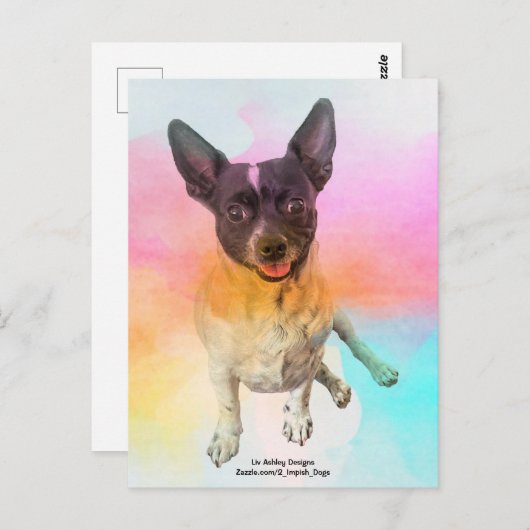 Gemma Disco Briefkaart (Voorkant / Achterkant)