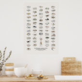 Gemmatigde Oceaan Vissen - Naturalist's Library Poster (Keuken)