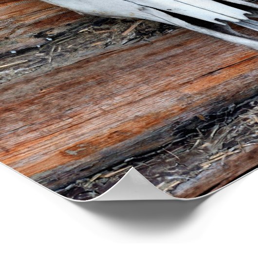 Gemonteerde Koe Poster (Hoek)