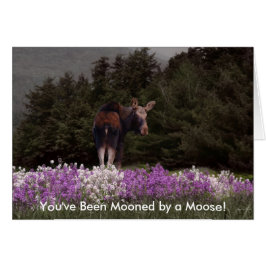 Gemosteerd door een Moose Card