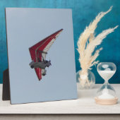 Gemotoriseerde hangglider fotoplaat (Zijkant)